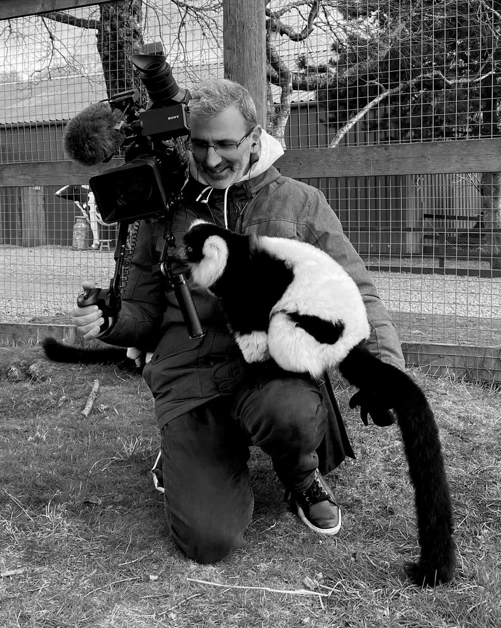 Lemur