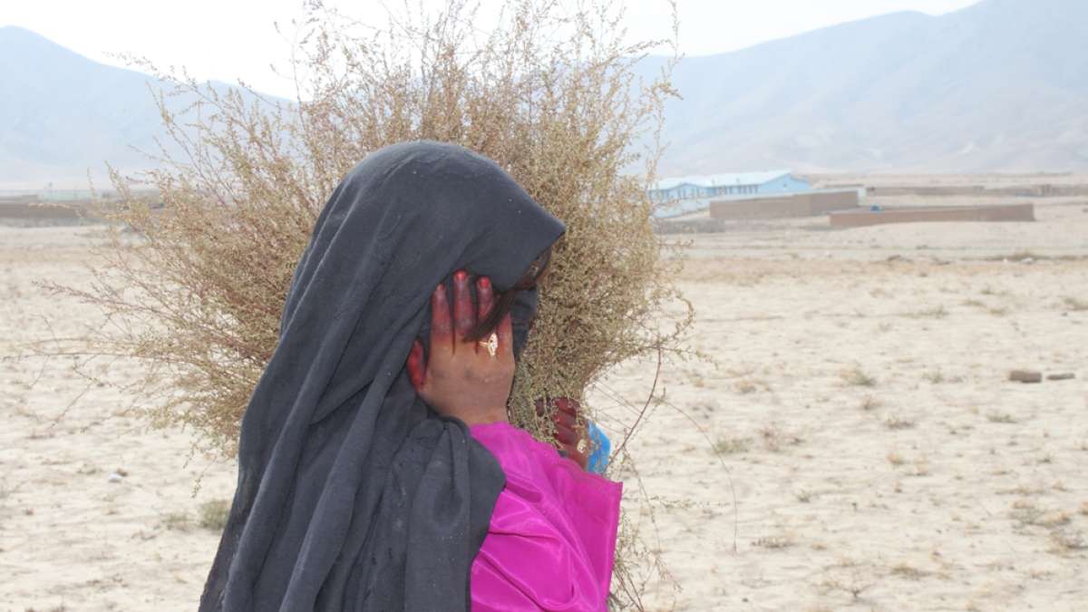 Bullets & Burqas